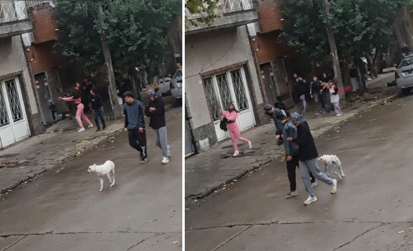 Terrible video: el momento que una alumna apuñaló a un joven en la puerta de la escuela